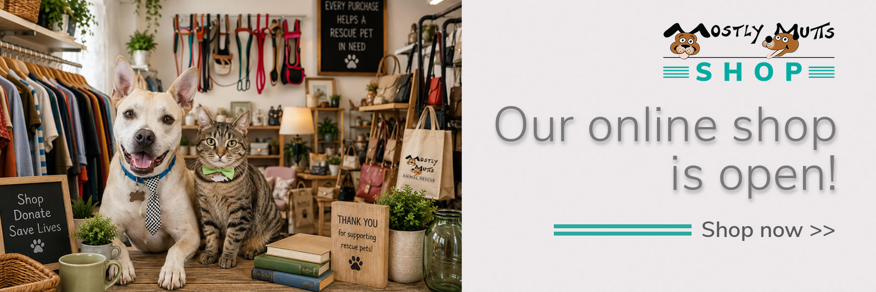 Frame 9 Shopify