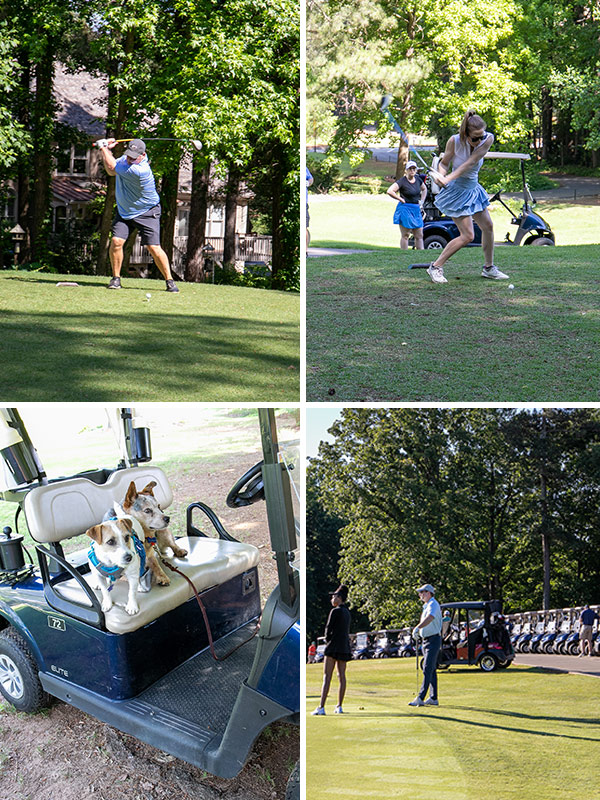 Pfm Landing Page Graphics